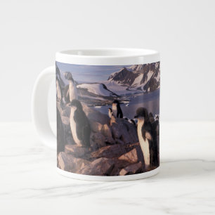 Tasse Géante Antarctique, poussins de manchots Adélie
