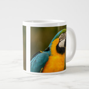 Tasse Géante ara de bleu et d'or