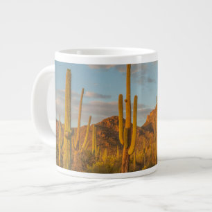 Tasse Géante Cactus du Saguaro au coucher du soleil, Arizona
