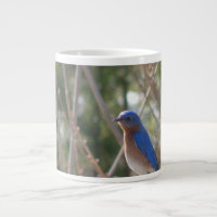 Café Mugg d'oiseau bleu