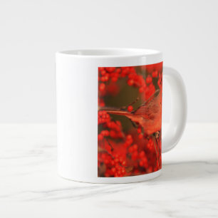 Tasse Géante Cardinal rouge du Nord mâle, IL