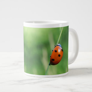 Tasse Géante Coccinelle sur une brin d'herbe