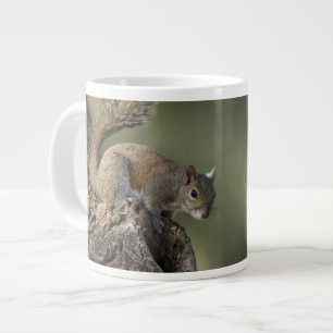 Tasse Géante Écureuil gris oriental ou écureuil gris