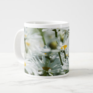 Tasse Géante États-Unis, Oregon, vallée de la Willamette, sélec