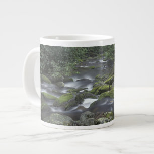 Tasse Géante États-Unis, Tennessee, Great Smoky Mountains Natio
