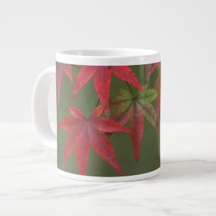 Tasse Géante Feuilles d'érable, Katsura, Kyoto, Japon