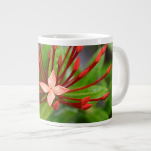 Tasse Géante Fleur rouge tropicale Jumbo Panama café Mug Yotig