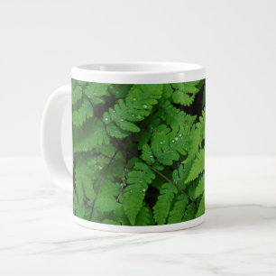 Tasse Géante Fougère bracken avec gouttes de pluie, État de Was