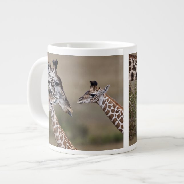 Tasse Géante Giraffe Masaï (Giraffe Tippelskirchi) (Devant gauche)