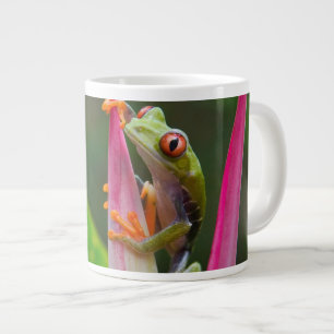 Tasse Géante Grenouille aux yeux rouges, Costa Rica