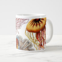 Méduse vintage par Ernst Haeckel, Discomedusae