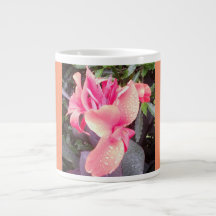 Musique photo Jumbo Pink Canna Lily