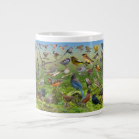 Oiseaux Jardins de l'Ouest