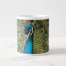 Photo couleur riche Peacock Bird