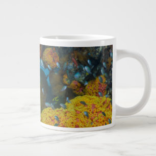Tasse Géante Poisson parmi le récif corallien