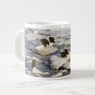 Tasse Géante Pygargue à tête blanche, Haliaeetus leucocephalus,