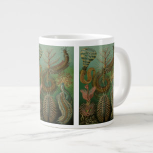 Tasse Géante Vers Anciens Annélides Chétopodes par Ernst Haecke