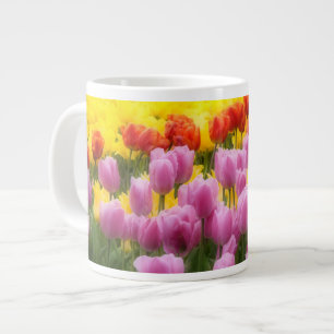 Tasse Géante WA, vallée de Skagit, jardin de tulipes Roozengaar