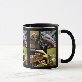Tasse Gecko lézards et Chameleons