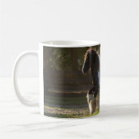 Tasse gitane d'étalon de Vanner d'or gitan