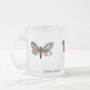 Tasse Givré Aglaope infausta - Skeletoniseur feuille amande