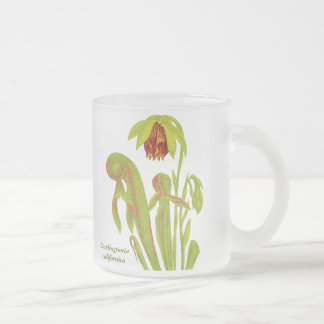 Tasse Givré Californica de Darlingtonia, plante carnivore