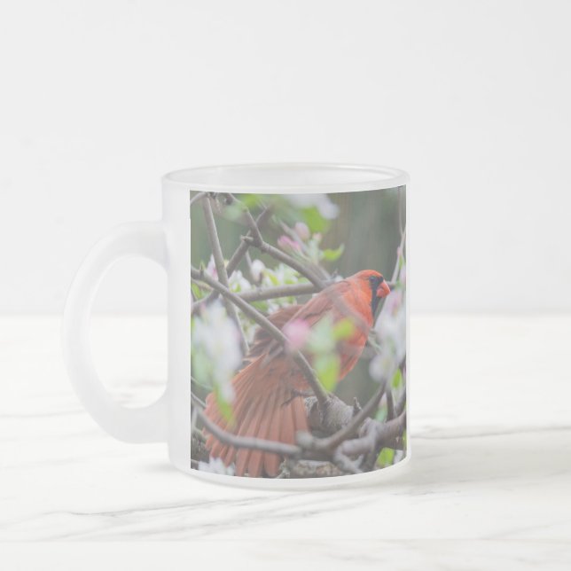 Tasse Givré Cardinal masculin au printemps (Gauche)