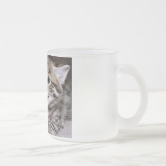 Tasse Givré Chats drôles