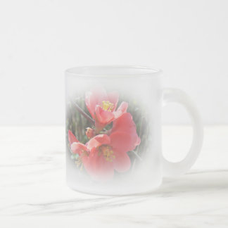 Tasse Givré Coing de floraison - Chaenomeles speciosa