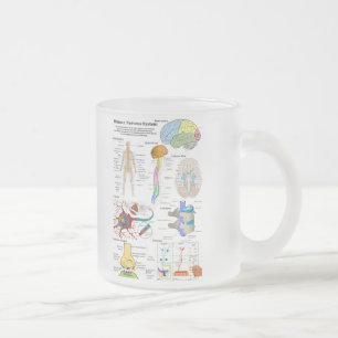 Tasse Givré Esprit humain et diagramme de système nerveux