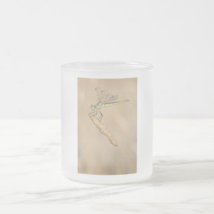 Tasse Givré Libellule demoiselle Skimmer femelle (CC BY 4.0) F