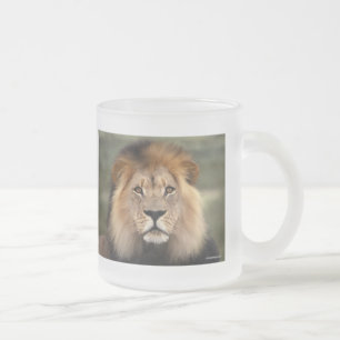 Tasse Givré Photographie de lions