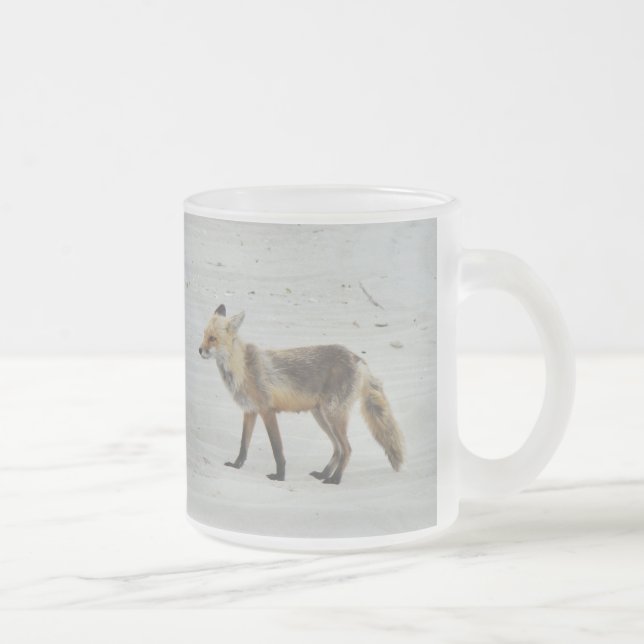 Tasse Givré Red Fox Vixen - Island Beach State Park - NJ (Droit)