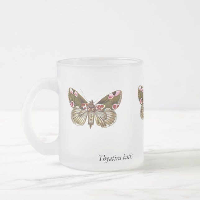 Tasse Givré Thyatira batis - La teigne de fleur de la peau (Gauche)