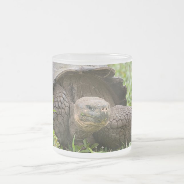 Tasse Givré Tortue géante (Centre)
