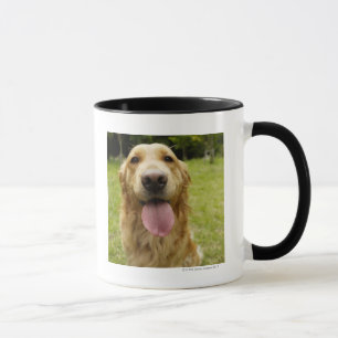 Tasse Golden retriever 4