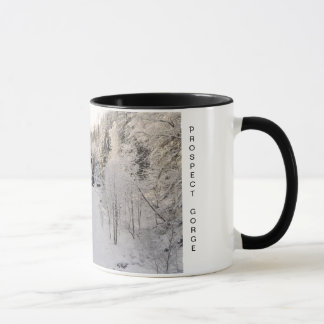 Tasse Gorge de perspective en hiver