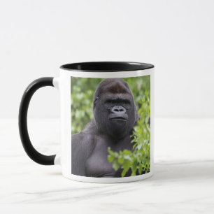 Tasse Gorille des terres basses de Silverback, Gorilla g