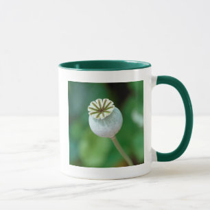 Tasse Graine de tête de Fleur de Pavot, Cap-Occidental