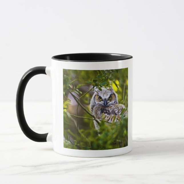Tasse Grand jeune hibou à cornes (Gauche)