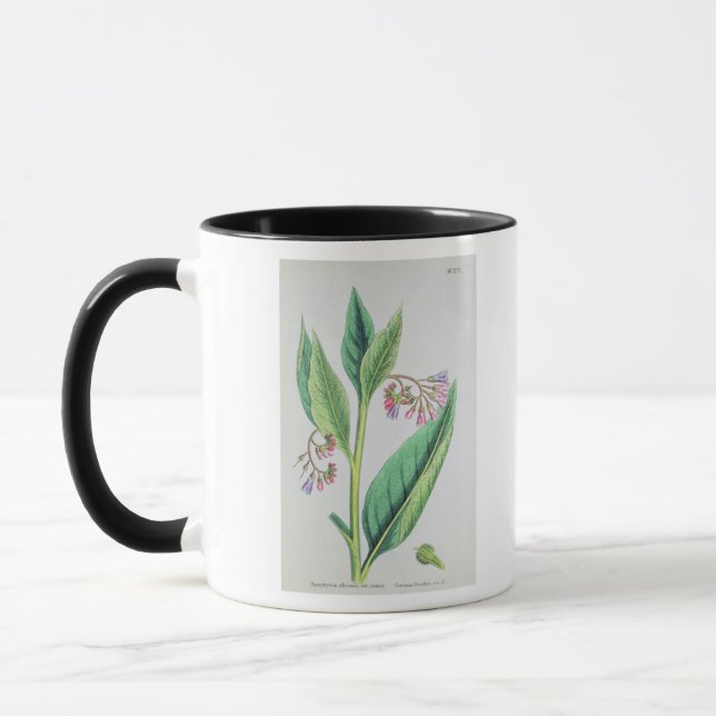 Tasse Grande consoude, plat MCXVI, c.1800 (Gauche)