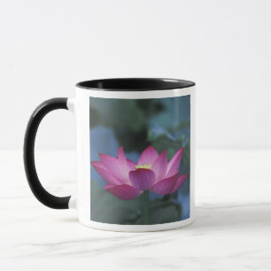 Tasse Gros plan sur une fleur de lotus rouge et des feui