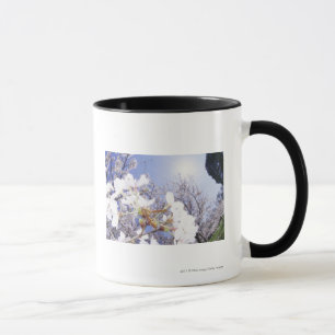 Tasse Guêpe sur des fleurs de cerisier, fin