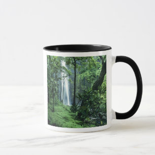 Tasse Hanakapiai tombe le long de la côte de Na Pali, à 
