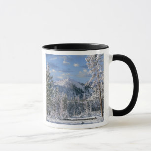 Tasse Hiver dans le parc national de Yellowstone, Wyomin