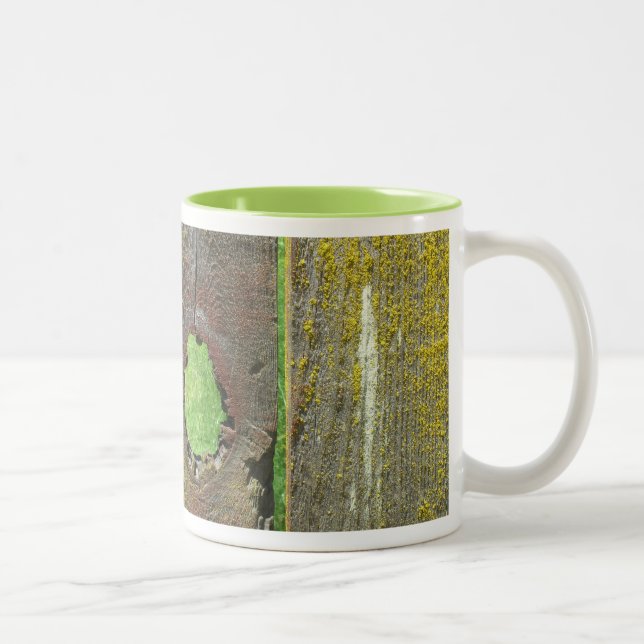 Tasse - Holzzaun mit Moos (Rechts)