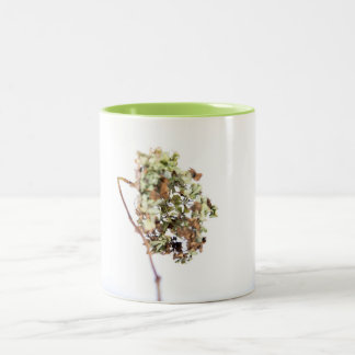 Tasse Hortensie