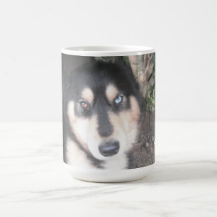 Tasse Husky Ein blaues Auge ein braunes Auge