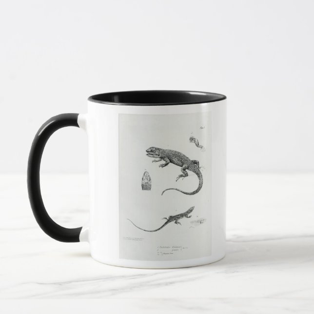 Tasse Iguane décalé (Gauche)