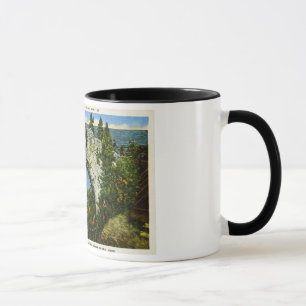 Tasse Île de Mackinac de roche de voûte, Michigan